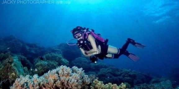 女生说我又不吃你怎么回复?-专业的红迪网社区平台