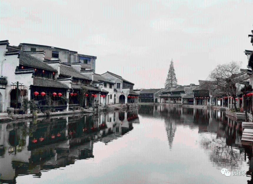 了解白萝卜煮水要多长时间知识星球,开启您的学习之旅!